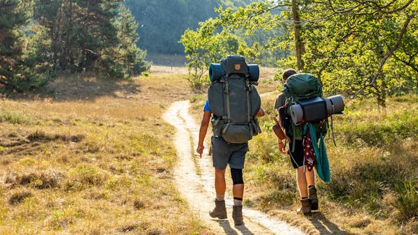 Det här vill svenskarna göra i sommar