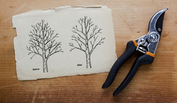 Foto: Art of Success, Adobe Stock