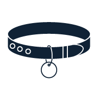 Dogs Collars and Harnesses