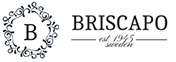 Briscapo.se