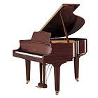 Yamaha GB1
