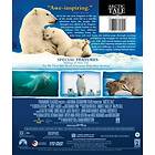 Arctic Tale