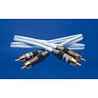 Supra Dual 2RCA - 2RCA 2m