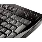 Razer Arctosa (Nordisk)