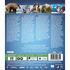 Planet Earth II