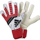 Adidas Predator Pro 2018