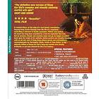 Ashes of Time: Redux (UK)