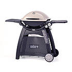 Weber Q 3200