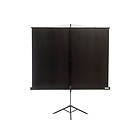 Kingpin Screens Tripod Screen TS180 1:1 100" (180x180)