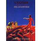 Cygnus and the Sea Monsters: One Night in Chicago