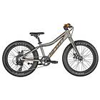 Scott Roxter JR 20"