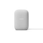 Google Nest Audio