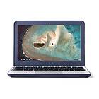 Asus Chromebook C202XA-GJ0005