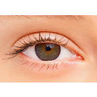 Alcon FreshLook Colorblends (2-pack)
