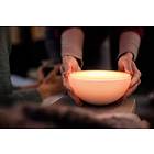 Philips Hue Go BT 71460