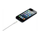 Apple USB A - Lightning 2m