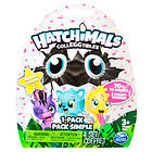 Hatchimals Colleggtibles 2-Pack+Nest