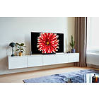 LG OLED65B8