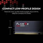 G.Skill Flare X5 DDR5 5600MHz 2x24GB (F5-5600J4040D24GX2-FX5)