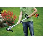 Black & Decker GLC3630L20