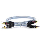 Supra Dual 2RCA - 2RCA 2m