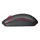 Asus WT300