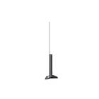 LG OLED65C8