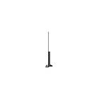 LG OLED77C8