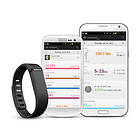 Fitbit Flex