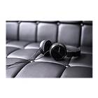 Sony MDR-ZX110AP