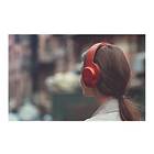 Sony MDR-100ABN