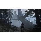 Days Gone (PS4)