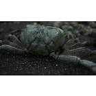 Death Stranding (PS4)
