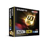 Gigabyte GA-B250M-DS3H