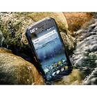 CAT S41