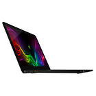Razer Blade Stealth 13 (RZ09-02393W31-R3W1)
