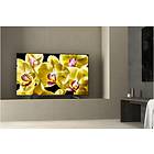 Sony Bravia KD-65XG8096