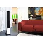 System Audio Mantra 60