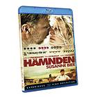 Hämnden