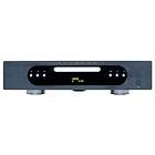 Primare CD31
