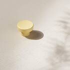 Beslag Design Knopp Circular Toniton Knob Yellow