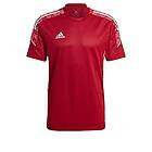 Adidas Tränings T-Shirt Condivo 21 Röd/Vit adult GH7166