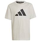 Adidas Future Icons 3-stripes Logo Tee (Jr)