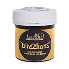 Directions Hair Colour 100ml