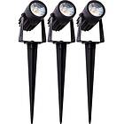Gelia Spotlight Trädgårdsbelysning 3-Pack Set Inkl Trafo. 5M Kabel Djurö TRÄDGÅRDSB SPOTLIGHT 3-PACK SET INKL TRAFO. KABEL DJURÖ 4074103101