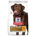 Hills Canine Science Plan Adult Healthy Mobility Large 12kg