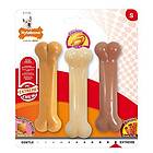 Nylabone Extreme Chew Multipack