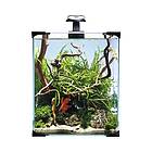 Nanoaquarium LED 20L 25x25x30cm