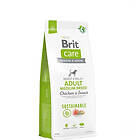 Brit Care Dog Sustainable Adult Medium Breed 12kg