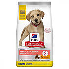 Hills Science Plan Puppy Large Perfect Digestion 12kg